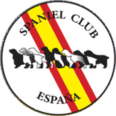 Spaniel Club de Espaa